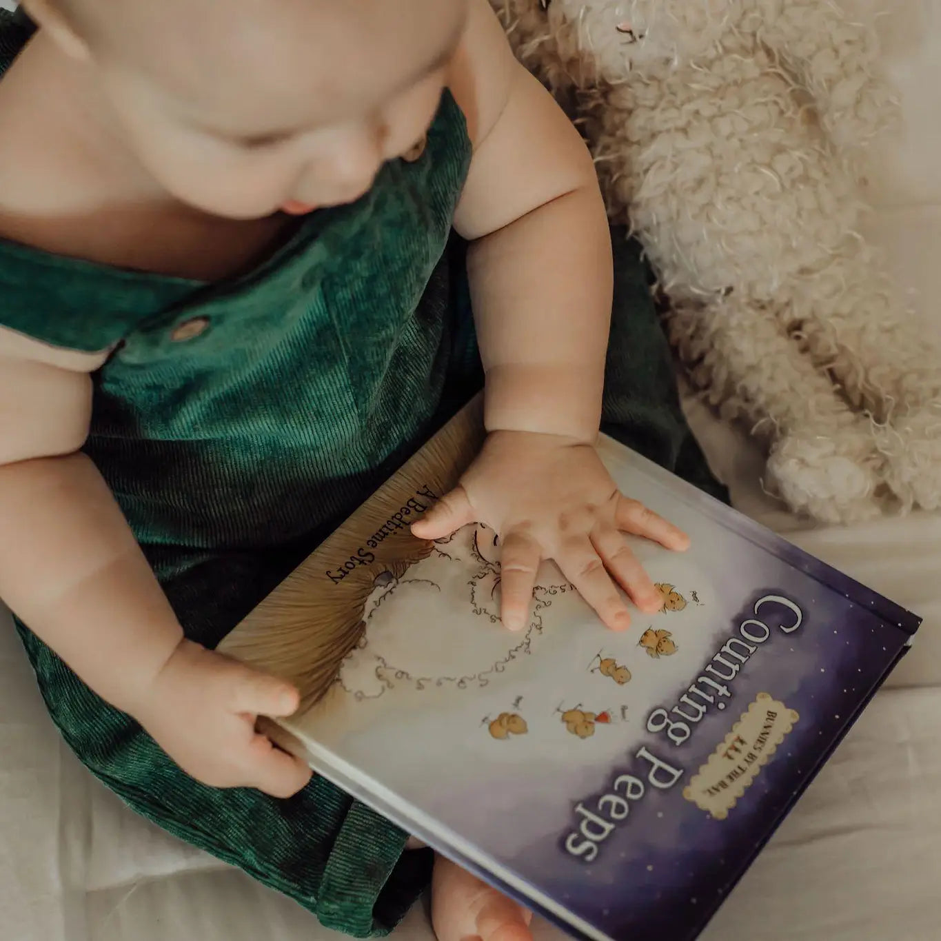 Counting Peeps Board Book