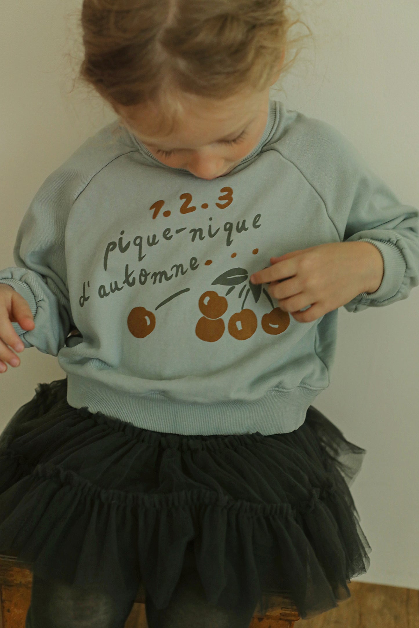 Pique-Nique Sweatshirt, Grey Blue