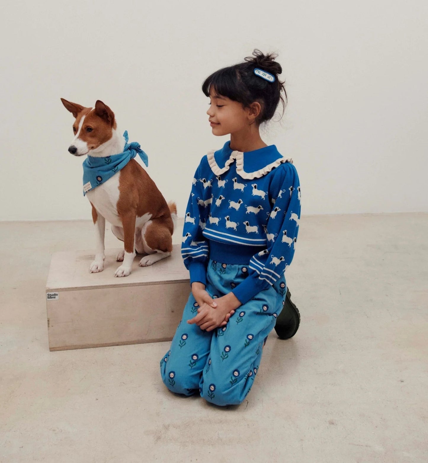 Jacquard Dogs Organic Cotton Sweater, Royal Blue