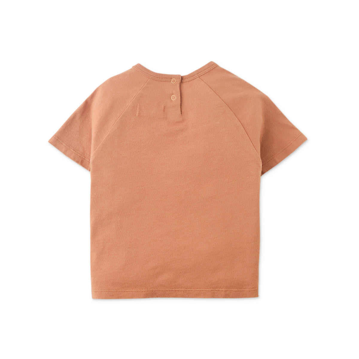 Boys Warren Graphic Tee, Brown