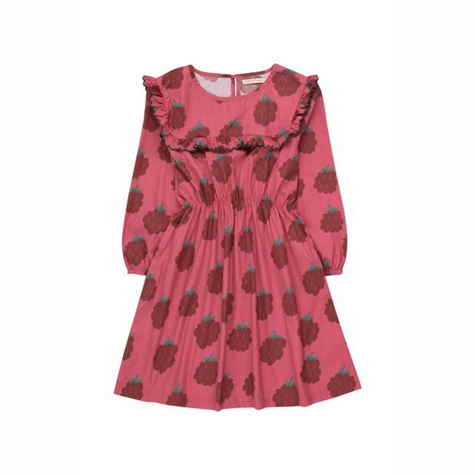 Raspberries Sailor Frills Dress, Berry