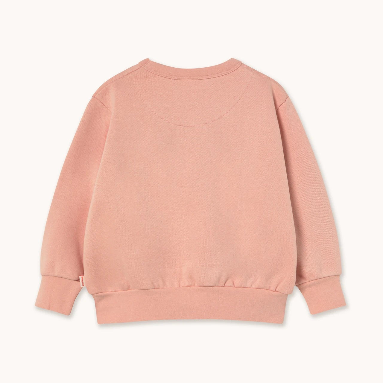 Walk Graphic Sweatshirt, Wild Rose