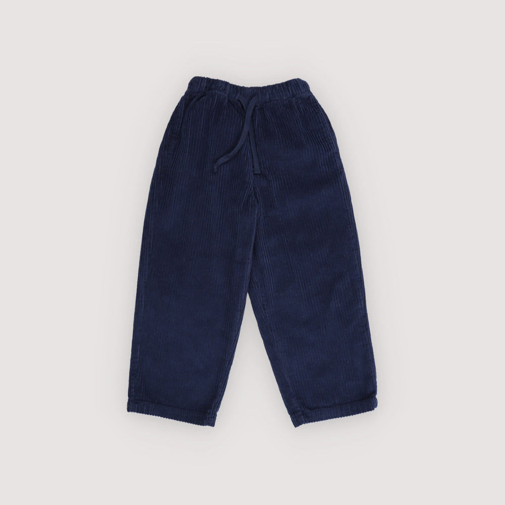 Nicol Pant, Infinite Navy