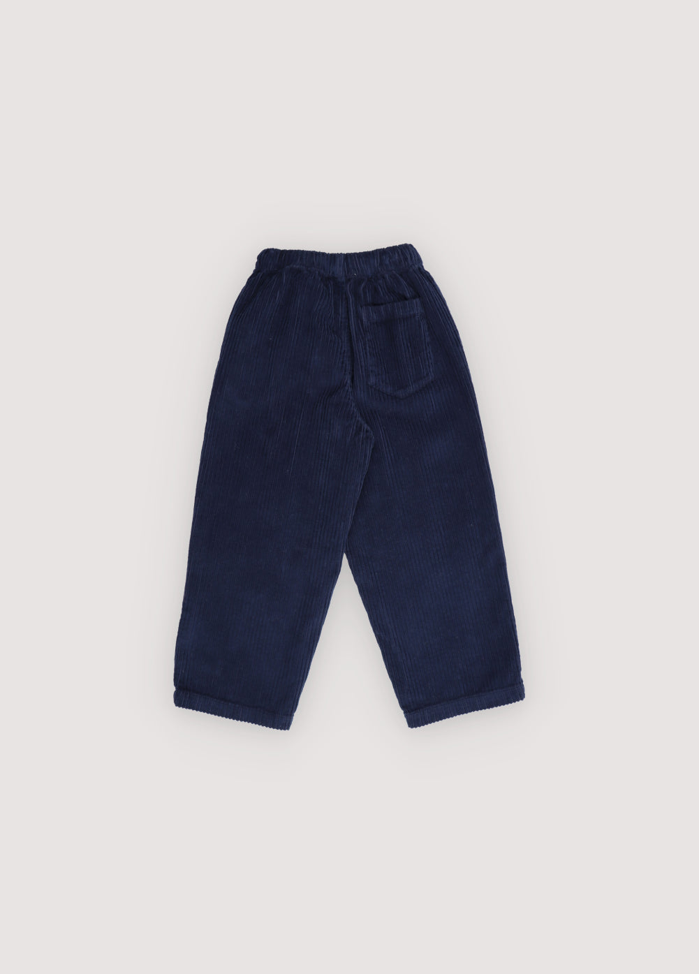 Nicol Pant, Infinite Navy