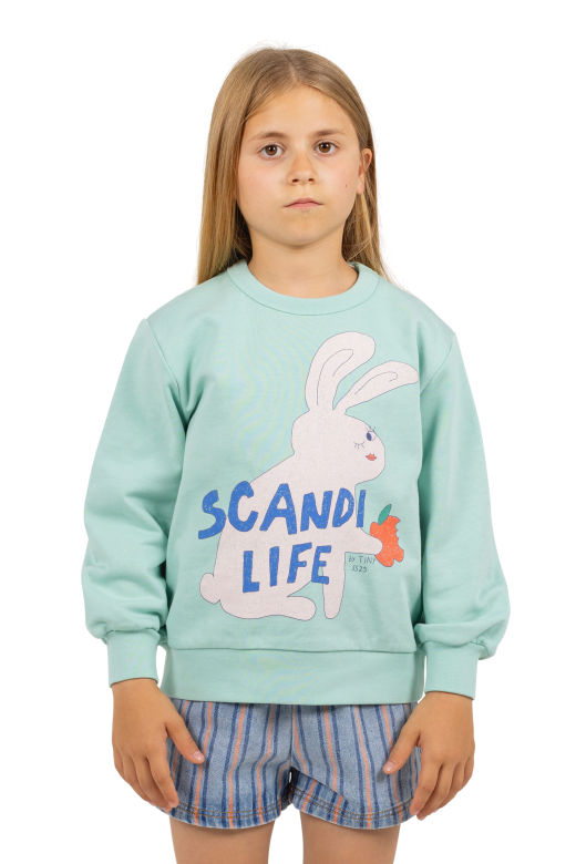 Scandi Life Graphic Sweatshirt, Washed Emerald
