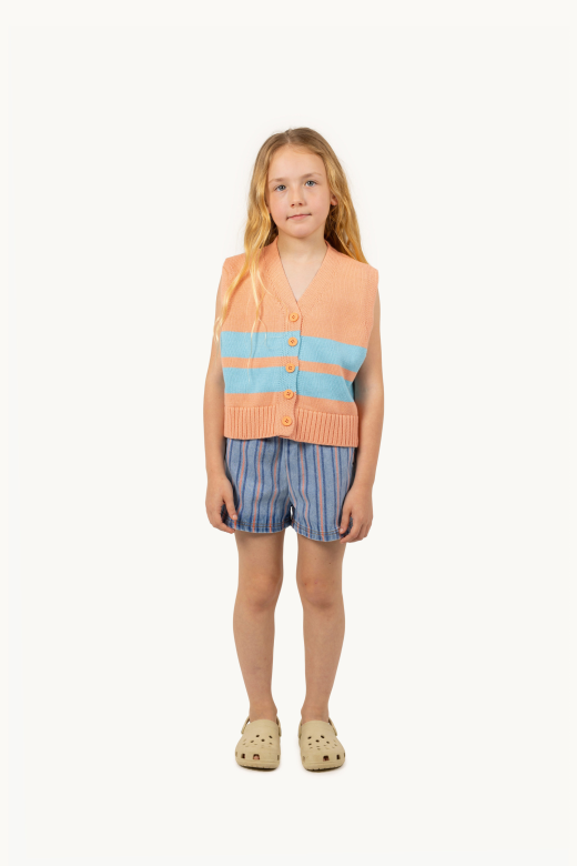 Stripes Multicolor Short, Light Blue Denim
