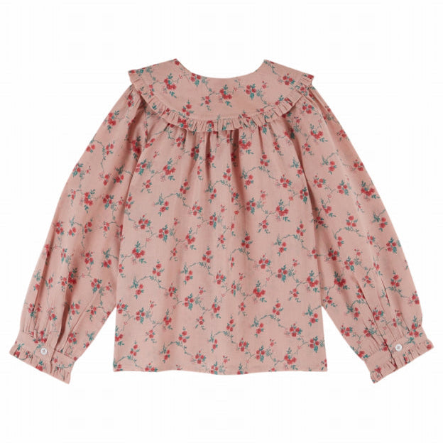 Red Floral Blouse, Aster