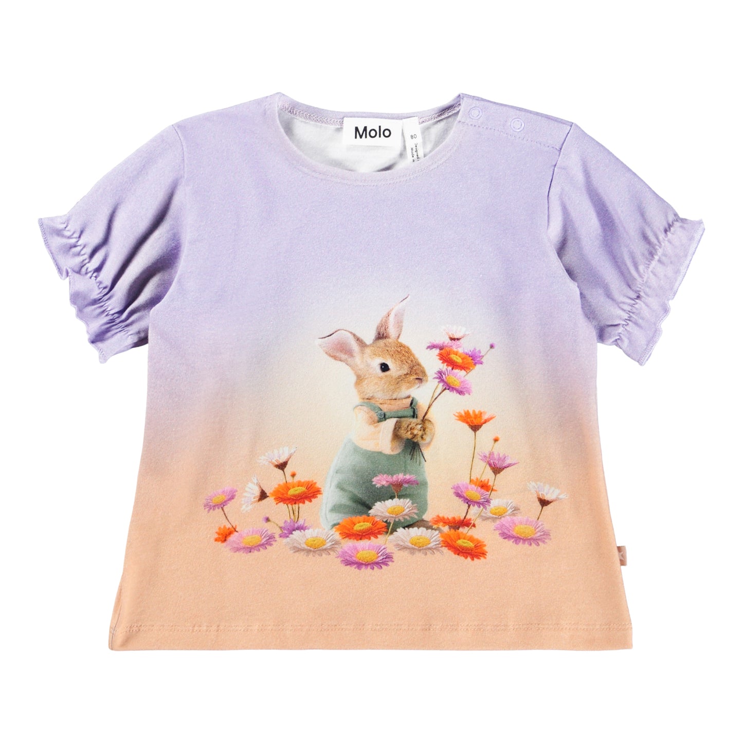 Eline, Dressy Rabbit