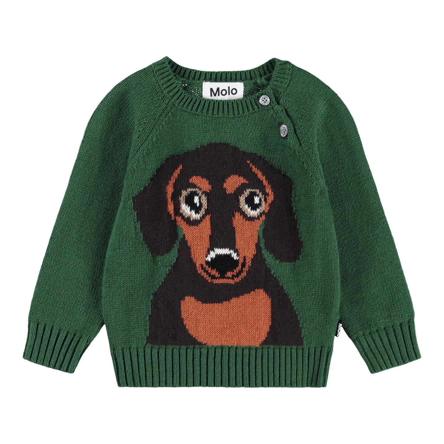 Bless, Dachs Puppy