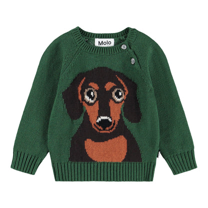 Bless, Dachs Puppy