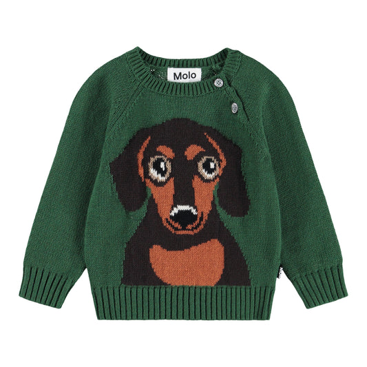 Bless, Dachs Puppy