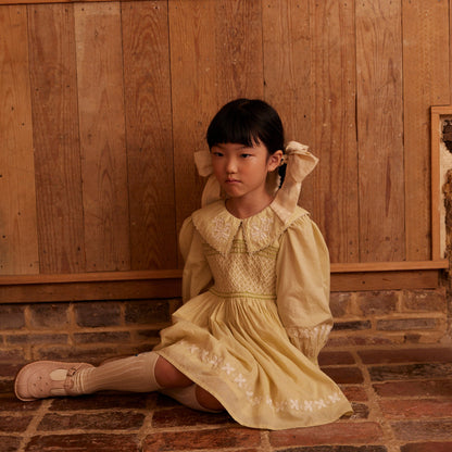 Baby Carey Dress, Lichen