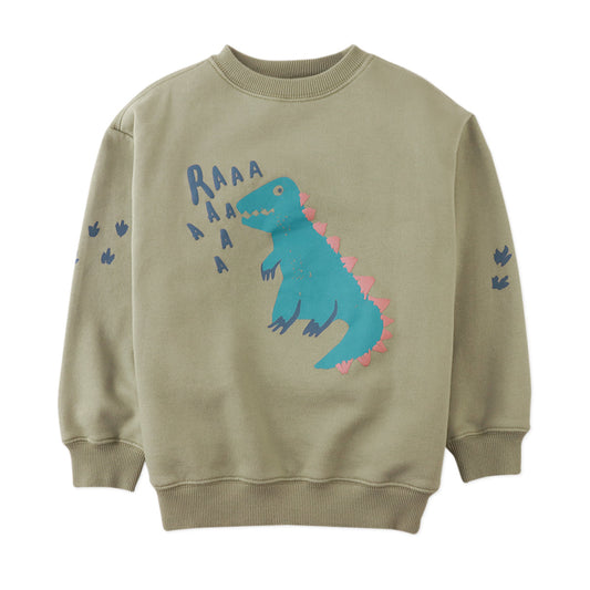 Boys Igor Sweatshirt, Khaki Green
