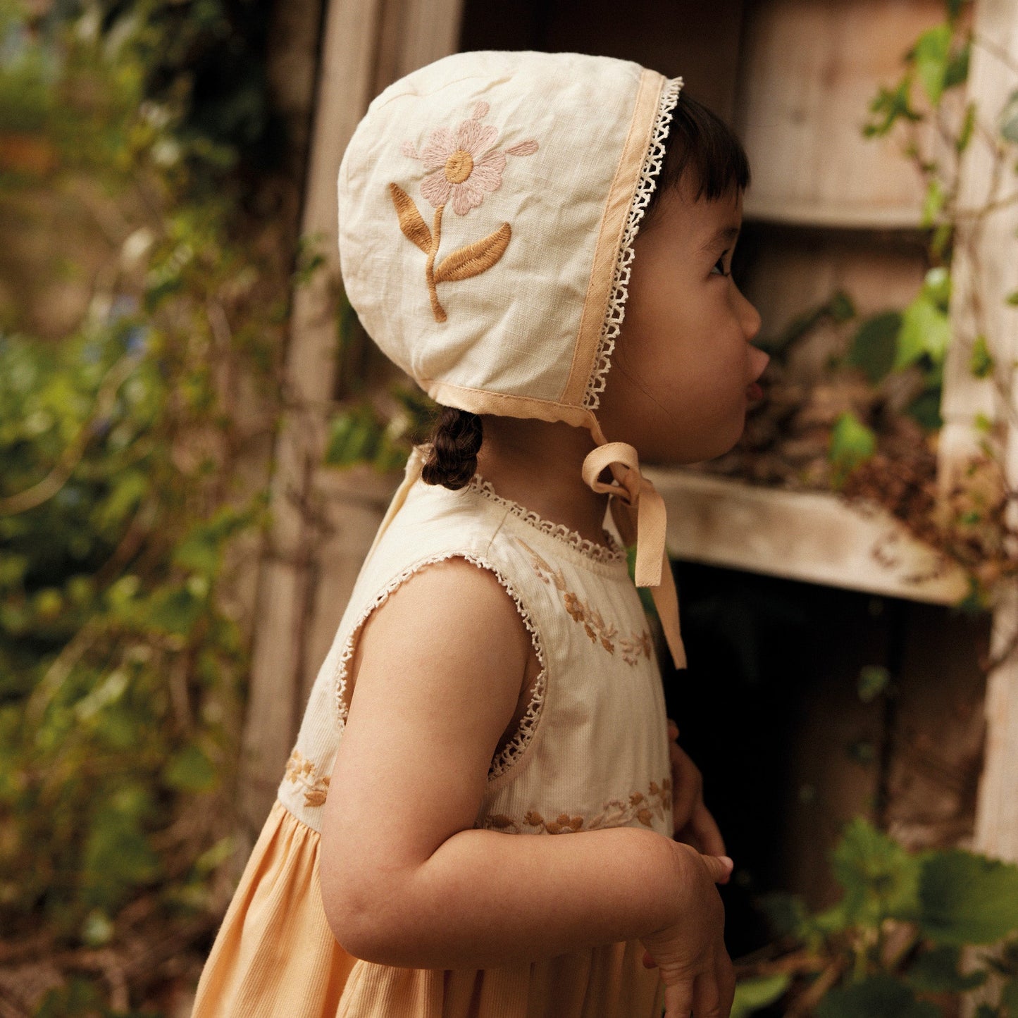 Josephine Bonnet, Cream
