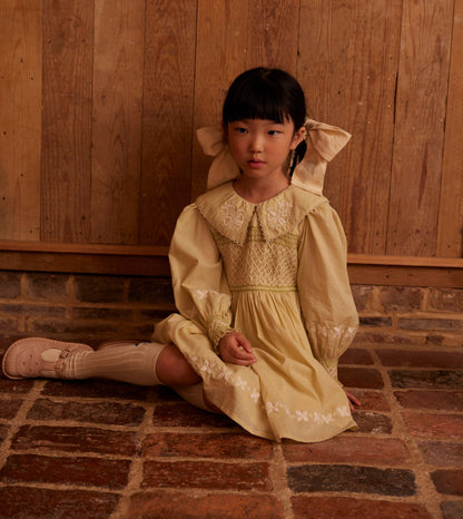 Carey Dress, Lichen