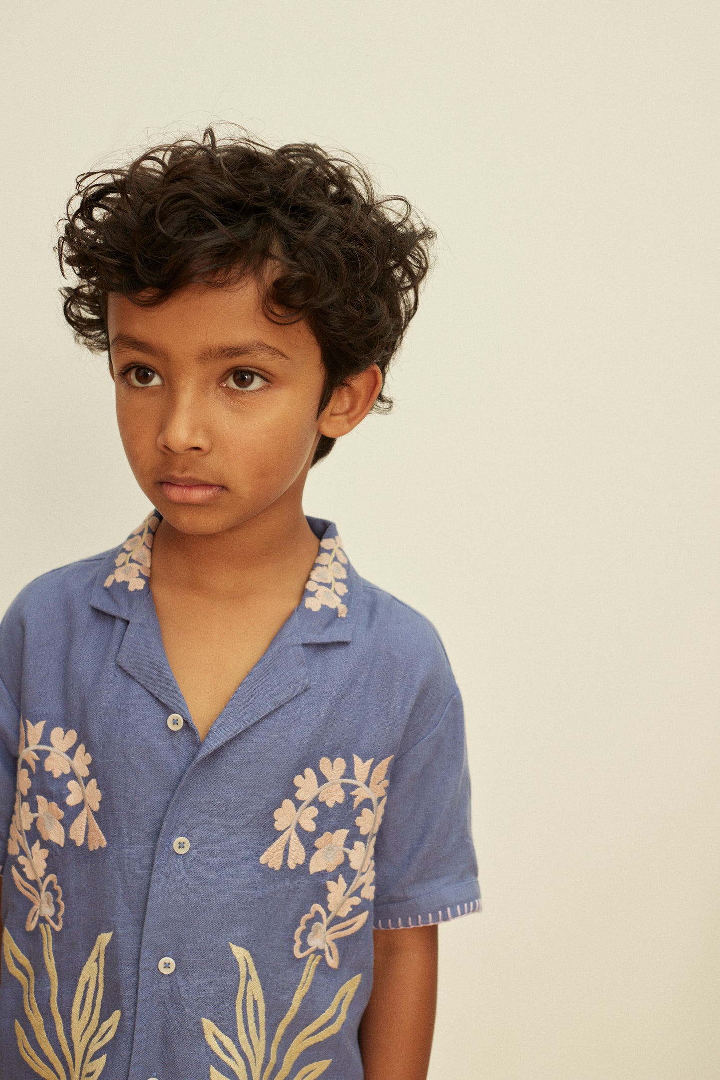 Donny Embroidered Shirts, Azul