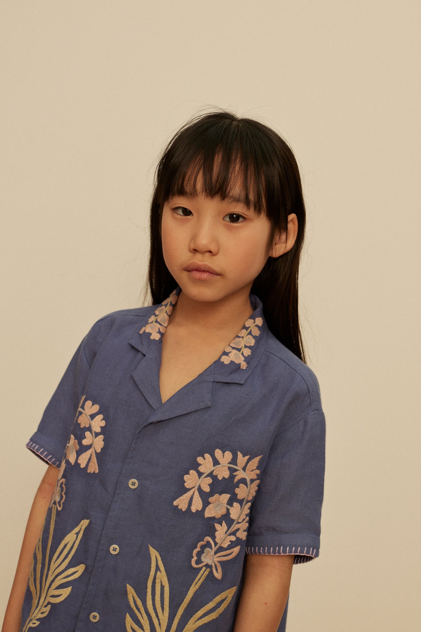 Donny Embroidered Shirts, Azul