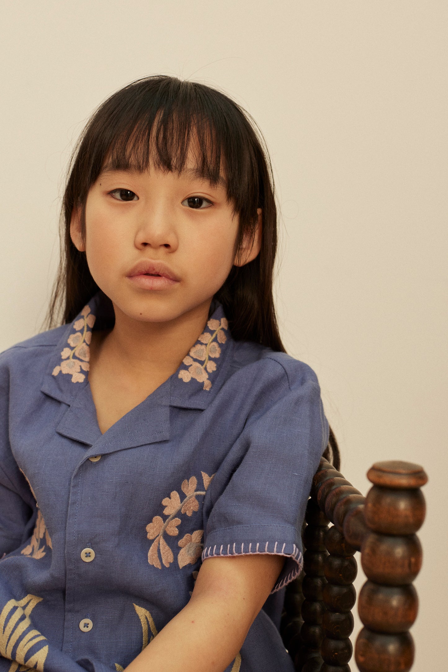 Donny Embroidered Shirts, Azul