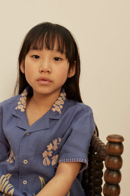 Donny Embroidered Shirts, Azul