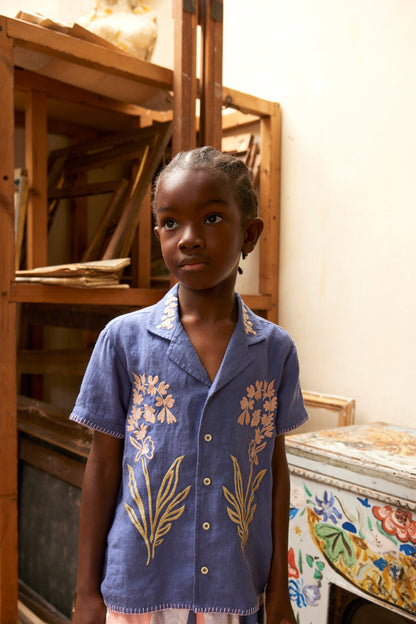 Donny Embroidered Shirts, Azul