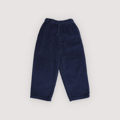 Nicol Pant, Infinite Navy