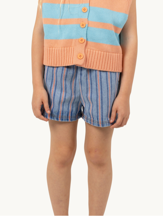 Stripes Multicolor Short, Light Blue Denim