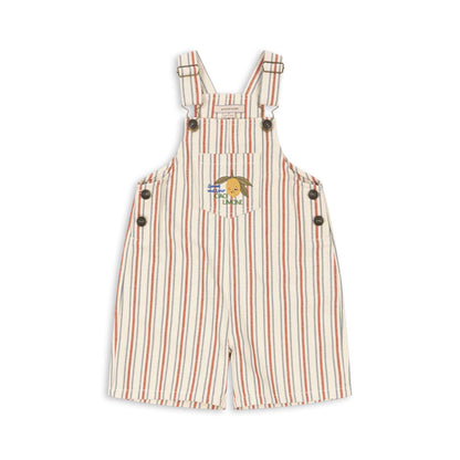 Frankie Overall GOTS, Stripe Winds