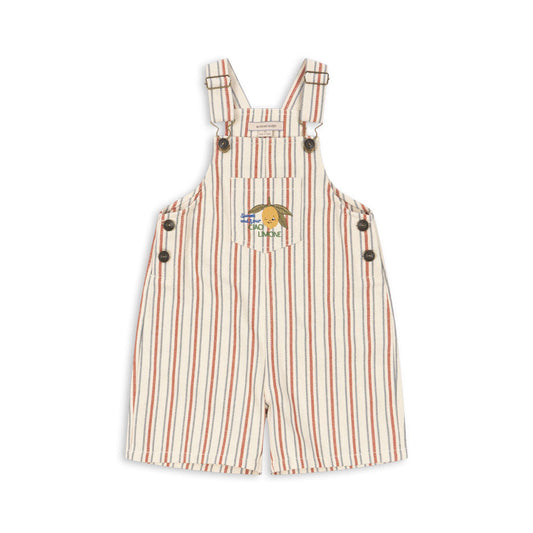 Frankie Overall GOTS, Stripe Winds