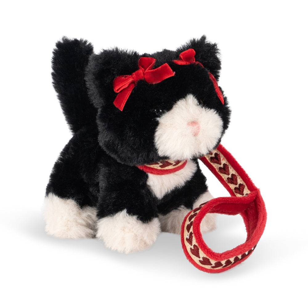 Pet Kitty, Black Beauty